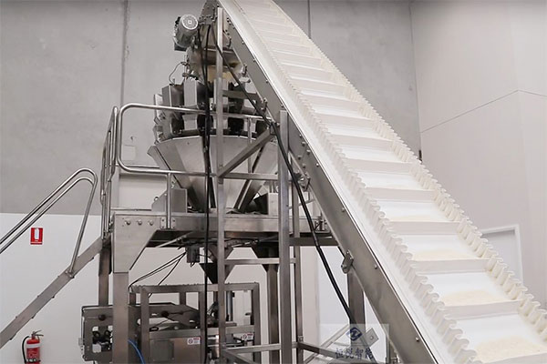 给袋式土豆粉自动91麻豆免费视频网站