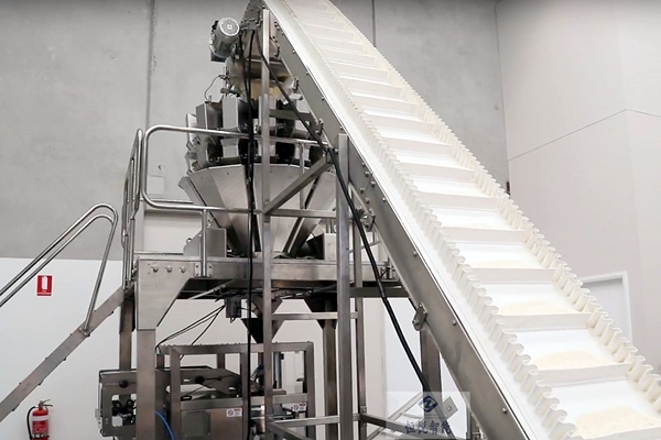 速冻水饺91麻豆免费视频网站720K