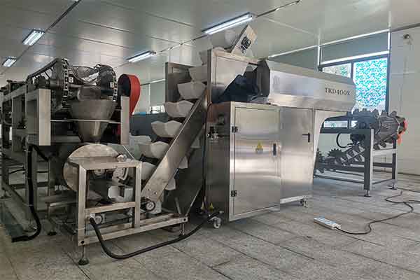 我司是河南土豆粉91麻豆免费视频网站厂家